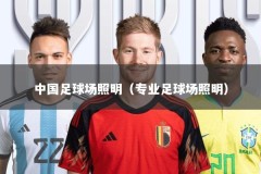 中国足球场照明（专业足球场照明）