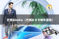 巴西队kakw（巴西队卡卡哪年退役）