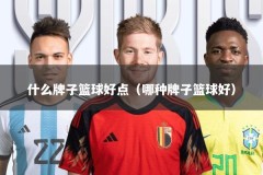 什么牌子篮球好点（哪种牌子篮球好）