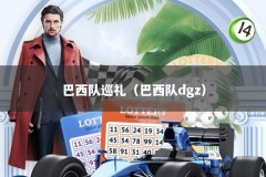 巴西队巡礼（巴西队dgz）