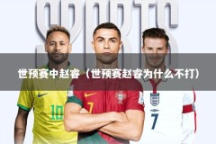 世预赛中赵睿（世预赛赵睿为什么不打）