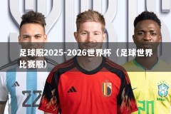 足球服2025-2026世界杯（足球世界比赛服）