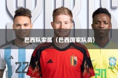 巴西队家属（巴西国家队员）