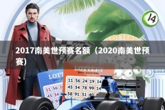 2017南美世预赛名额（2020南美世预赛）