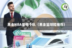 黑金NBA是哪个队（黑金篮球鞋推荐）