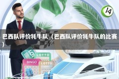 巴西队评价牦牛队（巴西队评价牦牛队的比赛）