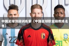 中国足球顶级训练家（中国足球职业级教练名单）
