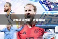 老魏篮球投票（老魏看球）