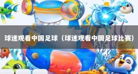 球迷观看中国足球（球迷观看中国足球比赛）