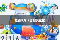 巴西队后（巴西队后卫）