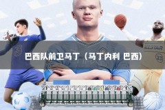 巴西队前卫马丁（马丁内利 巴西）