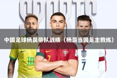 中国足球杨晨带队战绩（杨晨当国足主教练）