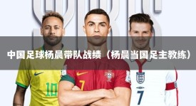 中国足球杨晨带队战绩（杨晨当国足主教练）