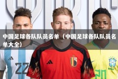 中国足球各队队员名单（中国足球各队队员名单大全）