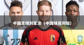 中国足球刘宣池（中国球员刘璇）