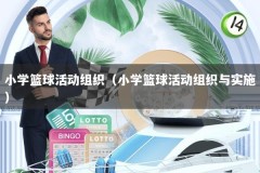 小学篮球活动组织（小学篮球活动组织与实施）