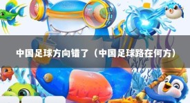 中国足球方向错了（中国足球路在何方）