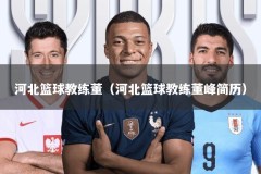 河北篮球教练董（河北篮球教练董峰简历）