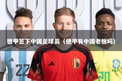 德甲签下中国足球员（德甲有中国老板吗）