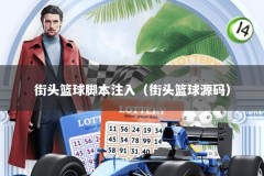 街头篮球脚本注入（街头篮球源码）