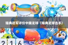 瑞典冠军评价中国足球（瑞典足球选手）