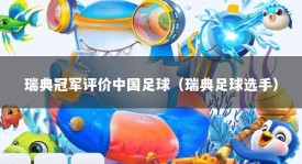 瑞典冠军评价中国足球（瑞典足球选手）