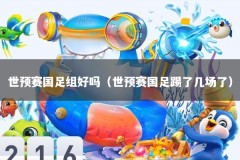 世预赛国足组好吗（世预赛国足踢了几场了）