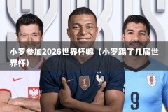 小罗参加2026世界杯嘛（小罗踢了几届世界杯）
