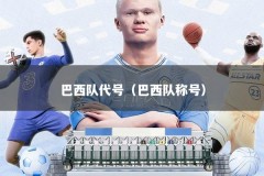 巴西队代号（巴西队称号）