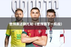 世预赛还剩几轮（世预赛下一阶段）