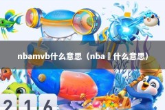 nbamvb什么意思（nba昰什么意思）