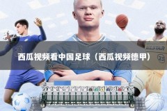 西瓜视频看中国足球（西瓜视频德甲）