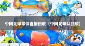 中国足球寒假直播回放（中国足球队回放）