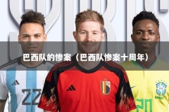 巴西队的惨案（巴西队惨案十周年）