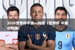 2026世界杯中国vs韩国（世界杯 中国对韩国）
