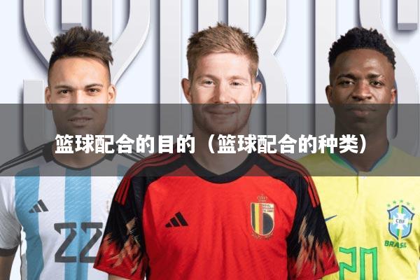 篮球配合的目的(篮球配合的种类)