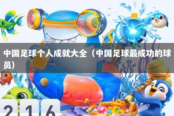 中国足球个人成就大全(中国足球最成功的球员)
