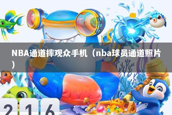 NBA通道摔观众手机(nba球员通道照片)