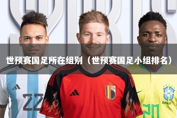 世预赛国足所在组别(世预赛国足小组排名)