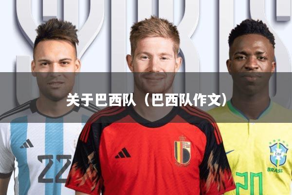 关于巴西队(巴西队作文)