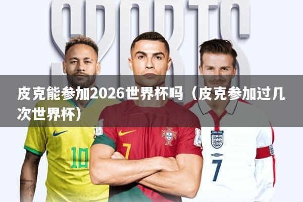 皮克能参加2026世界杯吗(皮克参加过几次世界杯)