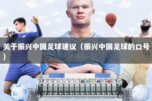 关于振兴中国足球建议(振兴中国足球的口号)